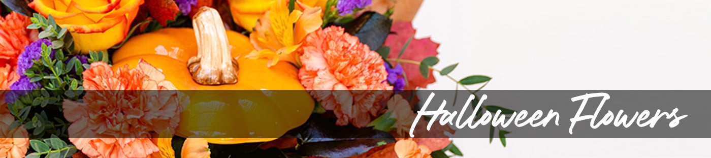 Send Halloween Flowers